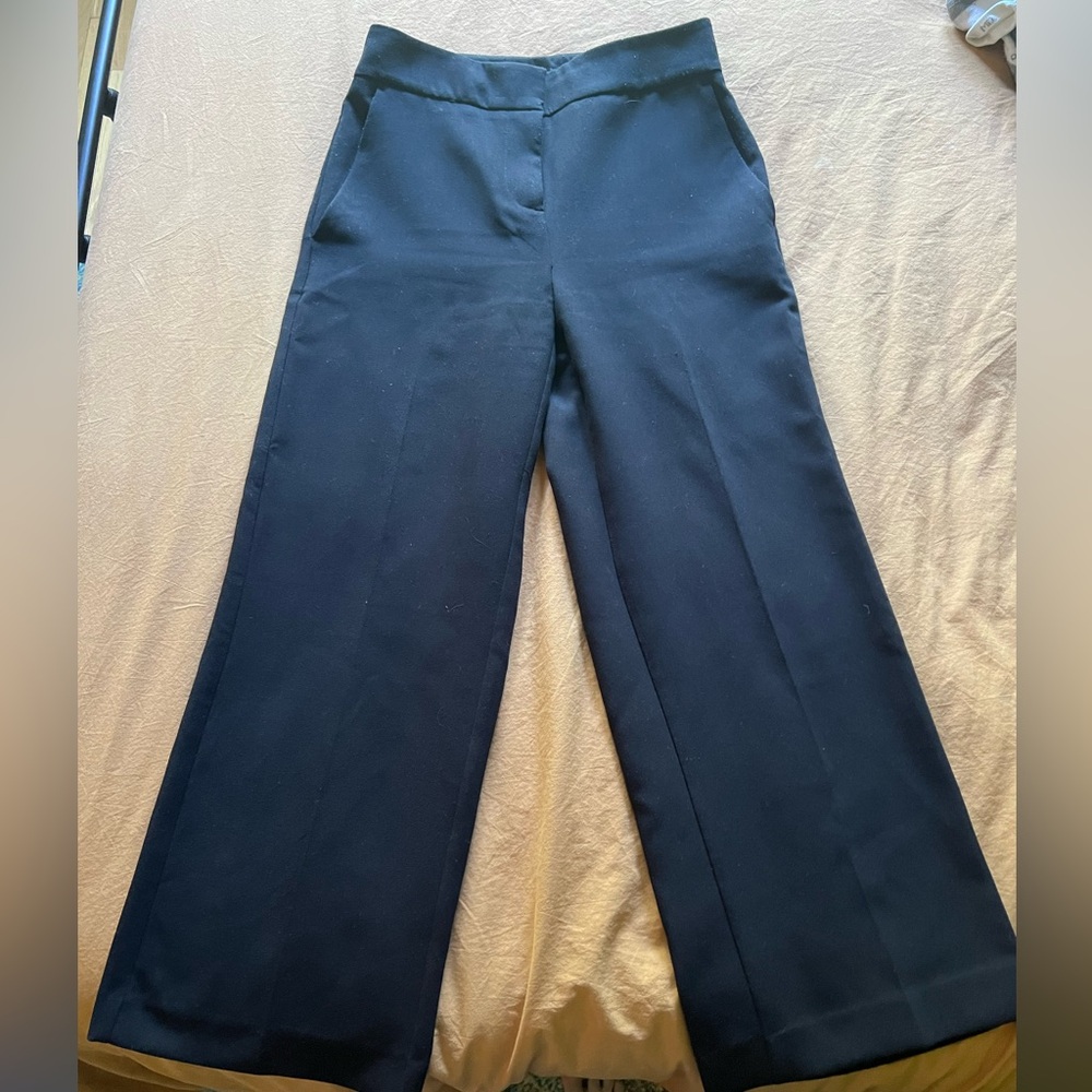 Ann Taylor High Waisted Cropped Pants - Picture 3 of 3